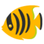 :tropical_fish: